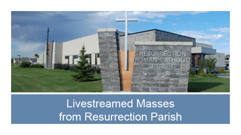 Live Stream Mass Info